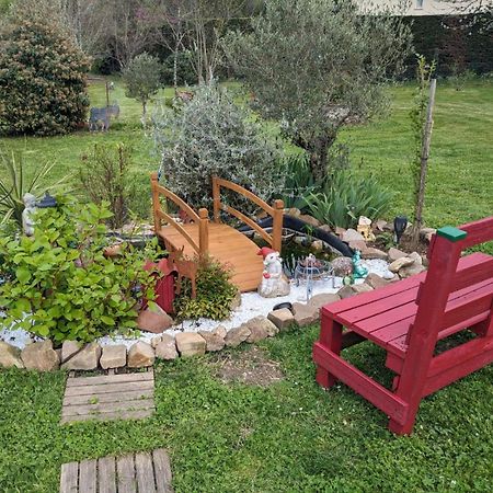 Chambre D'Hote Amitie Et Jardin Carmaux 외부 사진