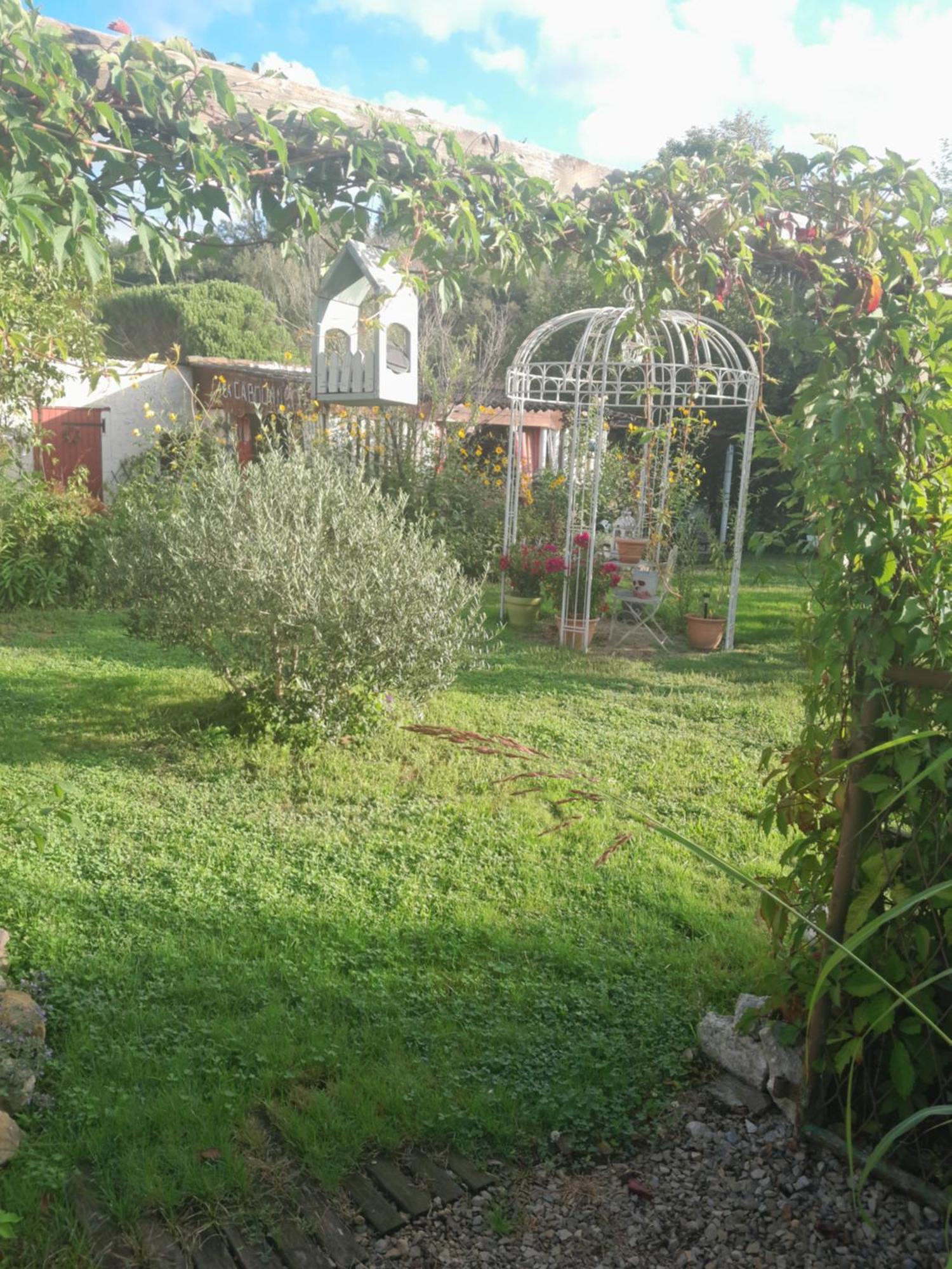 Chambre D'Hote Amitie Et Jardin Carmaux 외부 사진