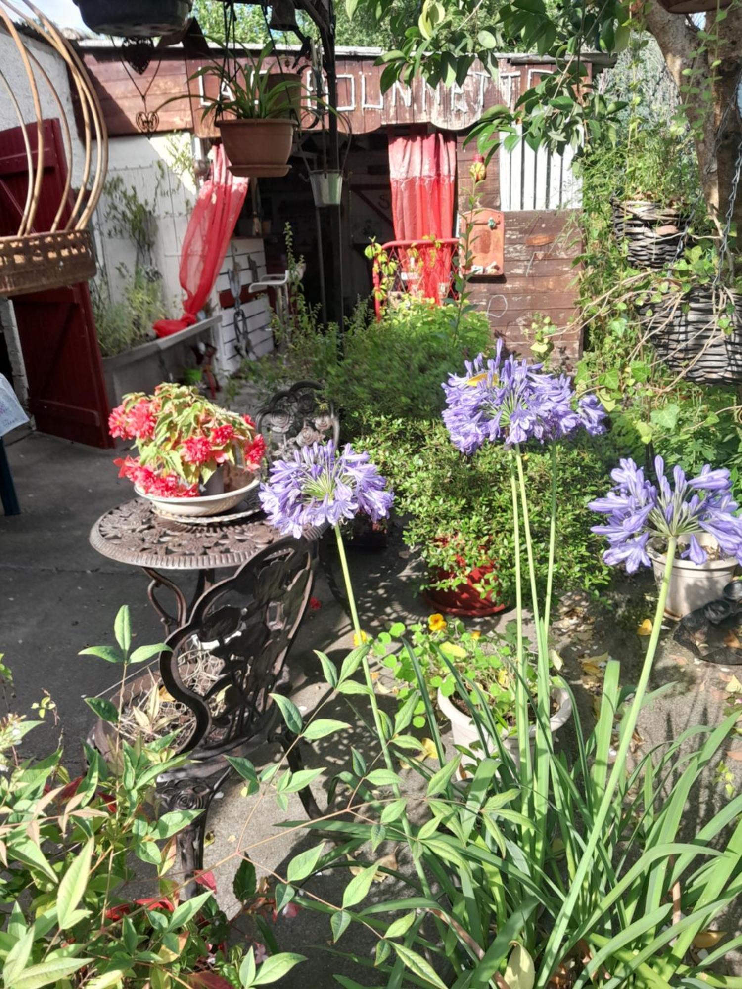 Chambre D'Hote Amitie Et Jardin Carmaux 외부 사진